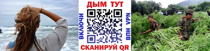 Купить наркотики Томилино OMG как зайти  А ПВП  Меф мяу мяу  Гашиш  Бошки Шишки  Cocaine 