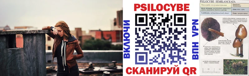 Псилоцибиновые грибы GOLDEN TEACHER  Томилино 